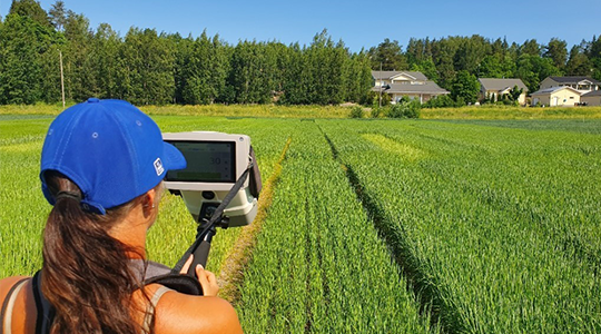 Lisälannoitus nosti mallasohran valkuaistasoa.