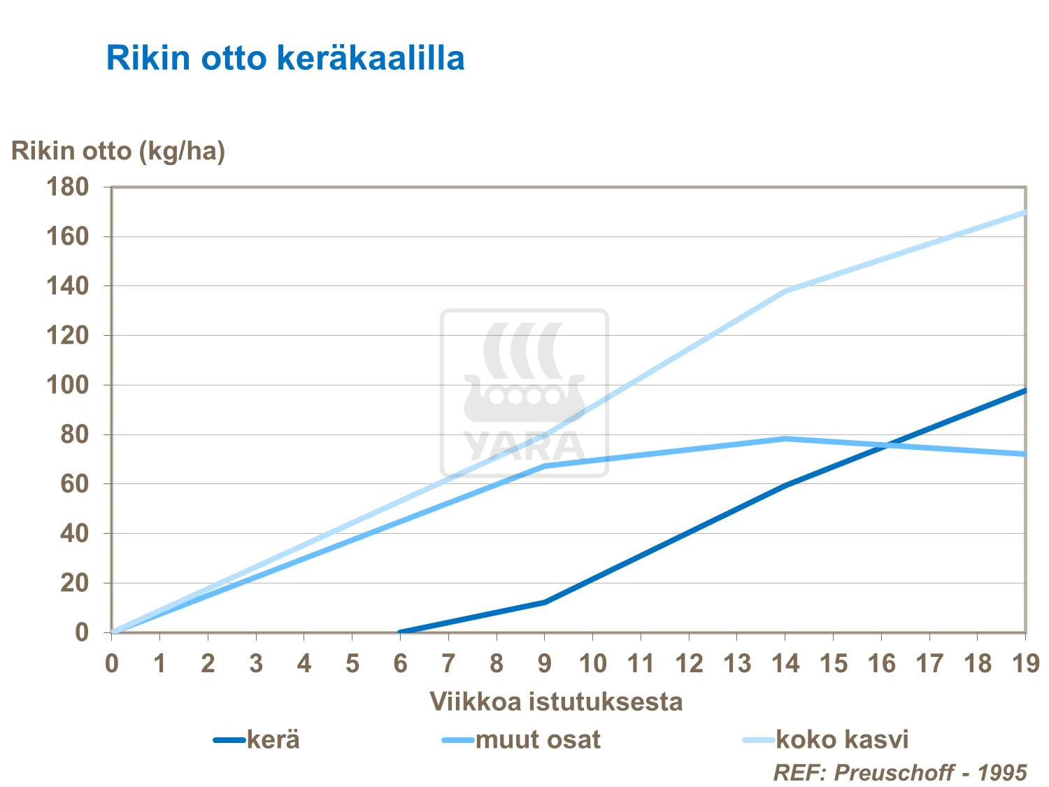 Rikin otto keräkaalilla