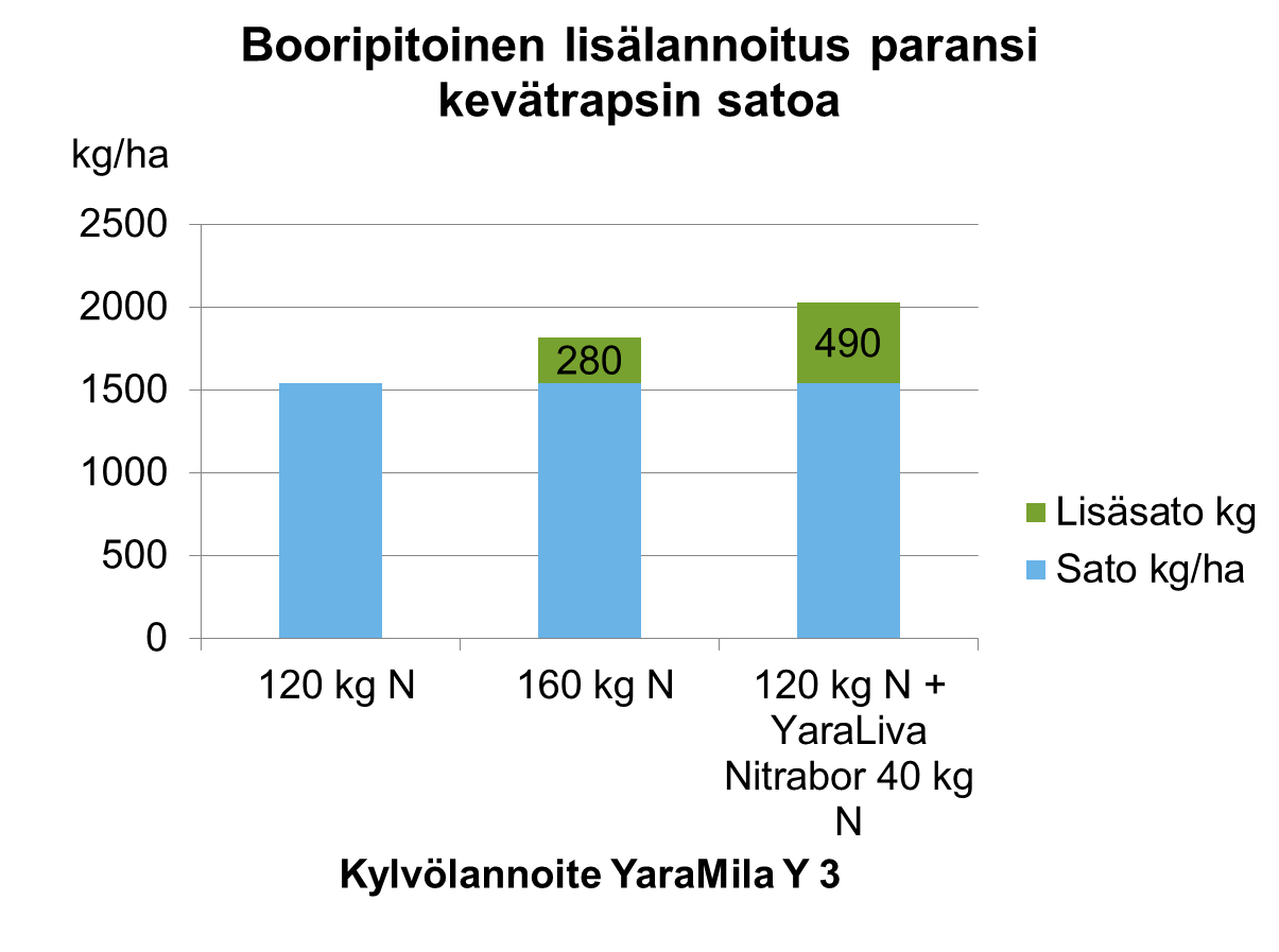 Booripitoinen lisälannoitus paransi kevätrapsin satoa
