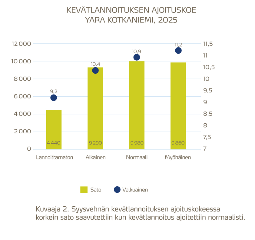 Syysvehn&auml;n kev&auml;tlannoituksen ajoituskokeessa korkein sato saavutettiin kun kev&auml;tlannoitusajoitettiin normaalisti.&nbsp;