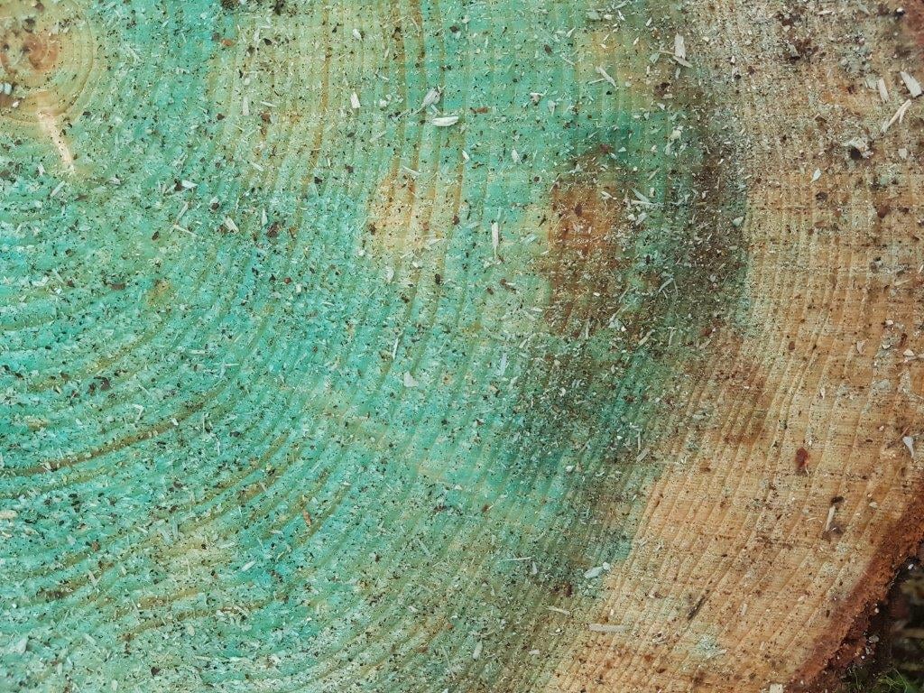 Kantokate on sininen liuos, joka levitet&auml;&auml;n kantoon. Kantokatteen avulla estet&auml;&auml;n m&auml;nnyn ja kuusen juurik&auml;&auml;v&auml;n levi&auml;minen.