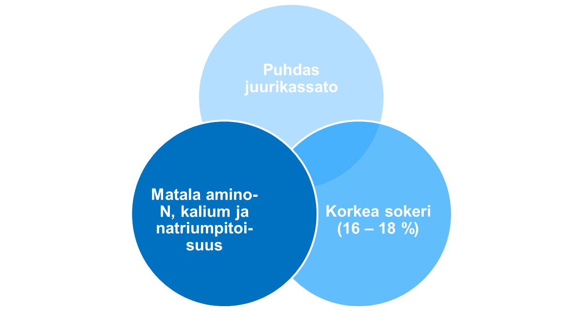 Sokerijuurikkaan laatu