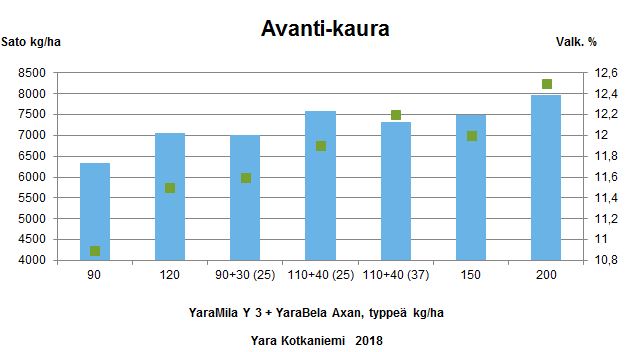 Avanti-kauralajikkeen lannoitus 