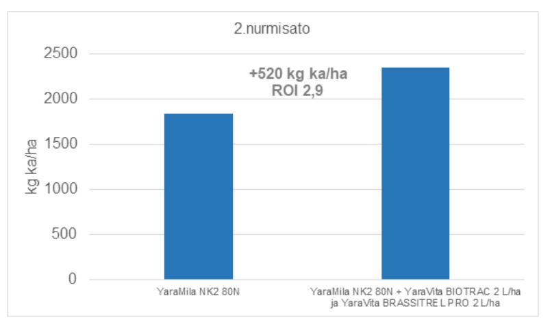 Alkukes&auml;ll&auml; nurmet k&auml;rsiv&auml;t Kotkaniemess&auml; kuivuusstressist&auml;.