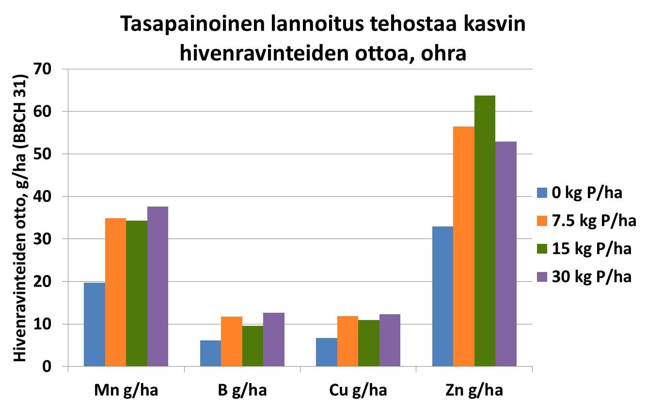 Tasapainoinen lannoitus tehostaa kasvin hivenravinteiden ottoa