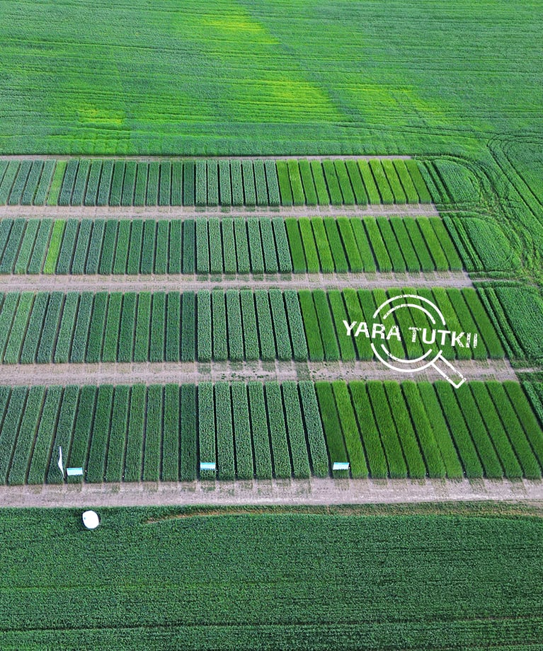 Tilakoe nosti esiin täsmälannoituksen hyödyt