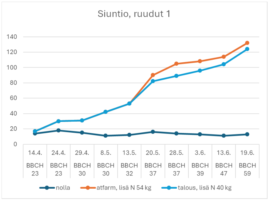 Siuntio ruudut 1