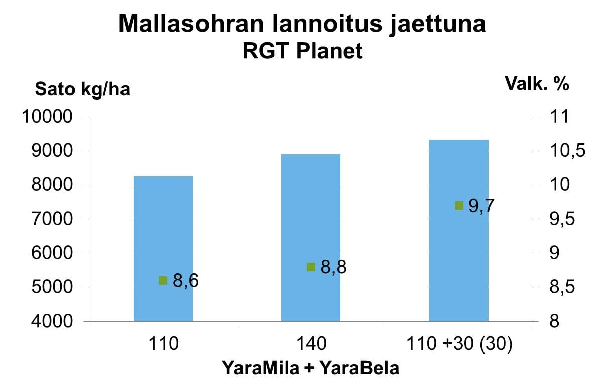 Mallasohran lannoitus jaettuna