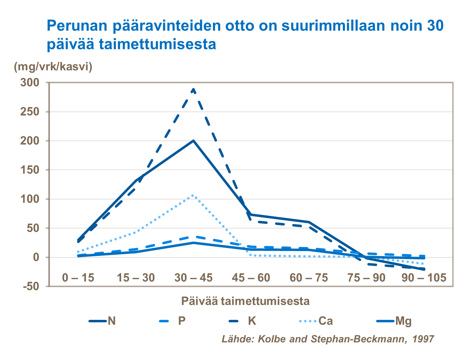 Perunan ravinteiden tarve on suuri kasvukauden alussa.