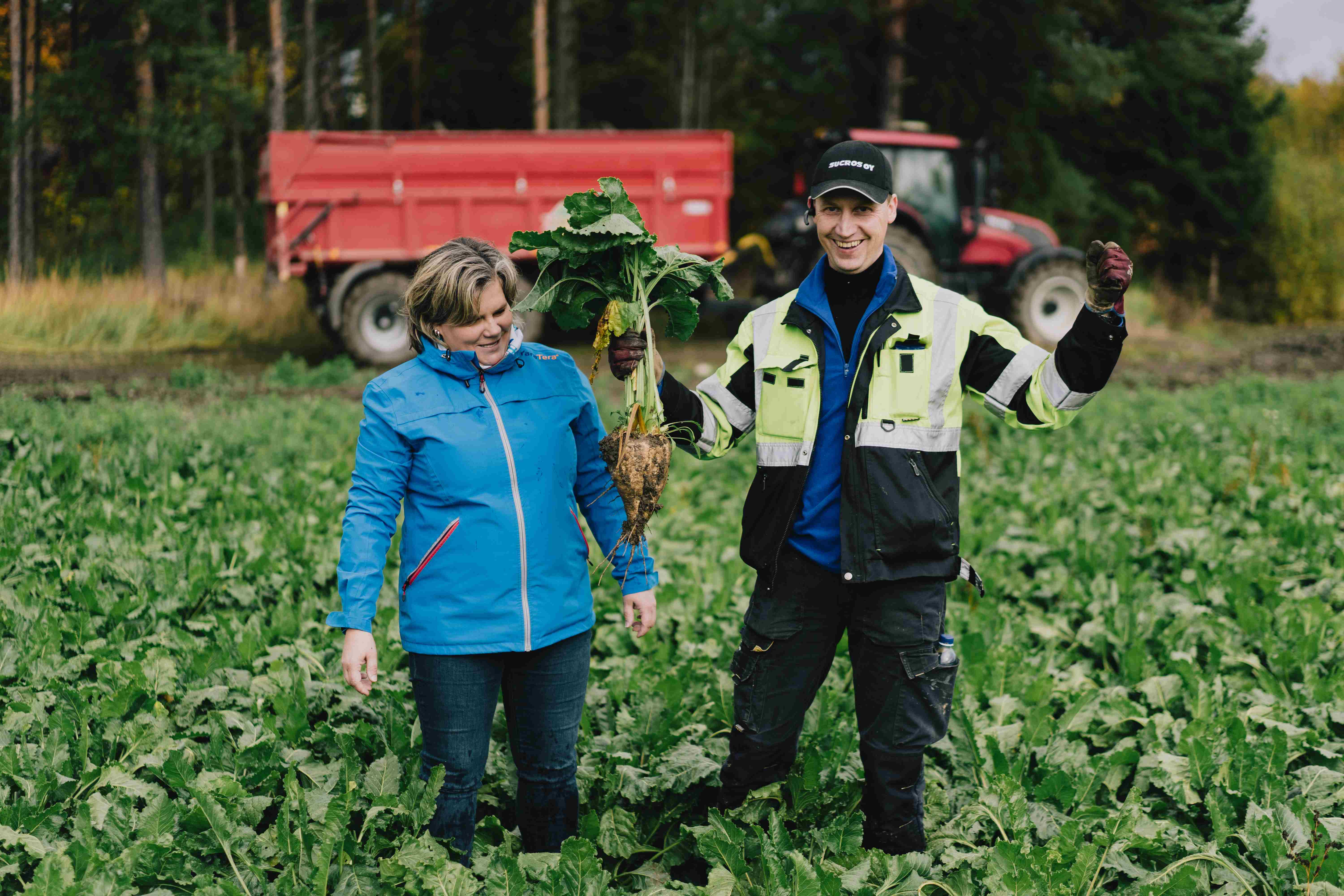 Yaran asiakkuusp&auml;&auml;llikk&ouml; Taija Saari ja viljelij&auml; Mika Lehtinen iloitsevat, sill&auml; kulunut kasvukausi oli suotuisa sokerijuurikkaalle.