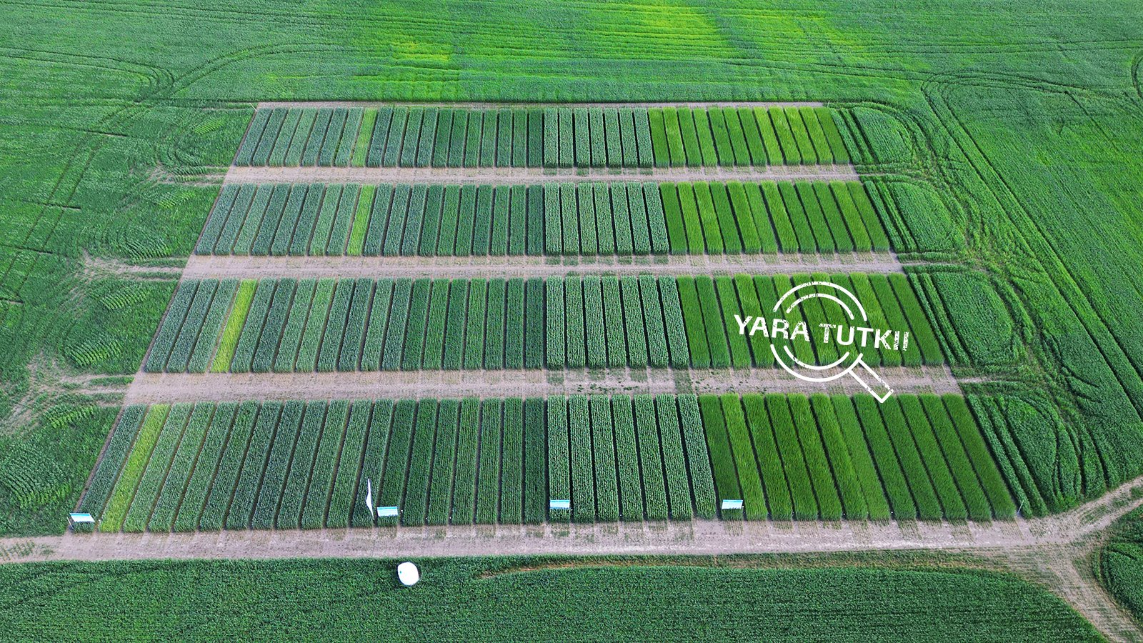 Tilakoe nosti esiin täsmälannoituksen hyödyt