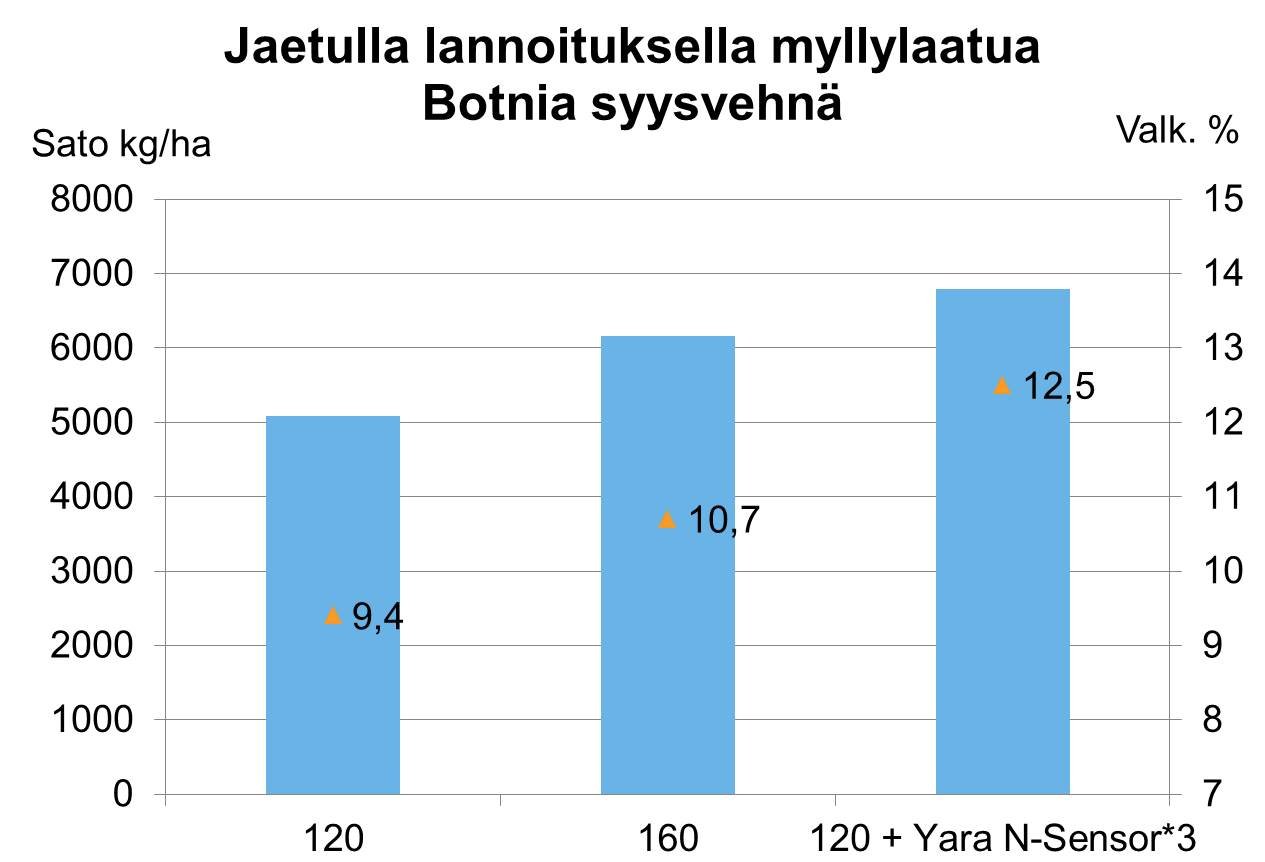 Jaetulla lannoituksella myllylaatuista vehnää