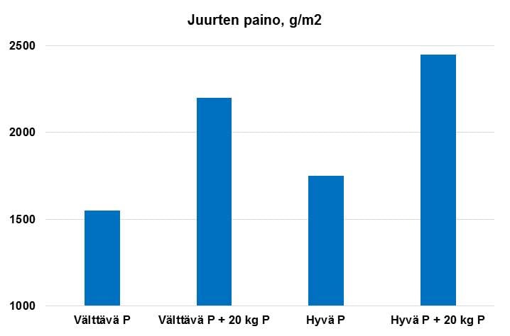 Lannoituksen vaikutus juuristoon